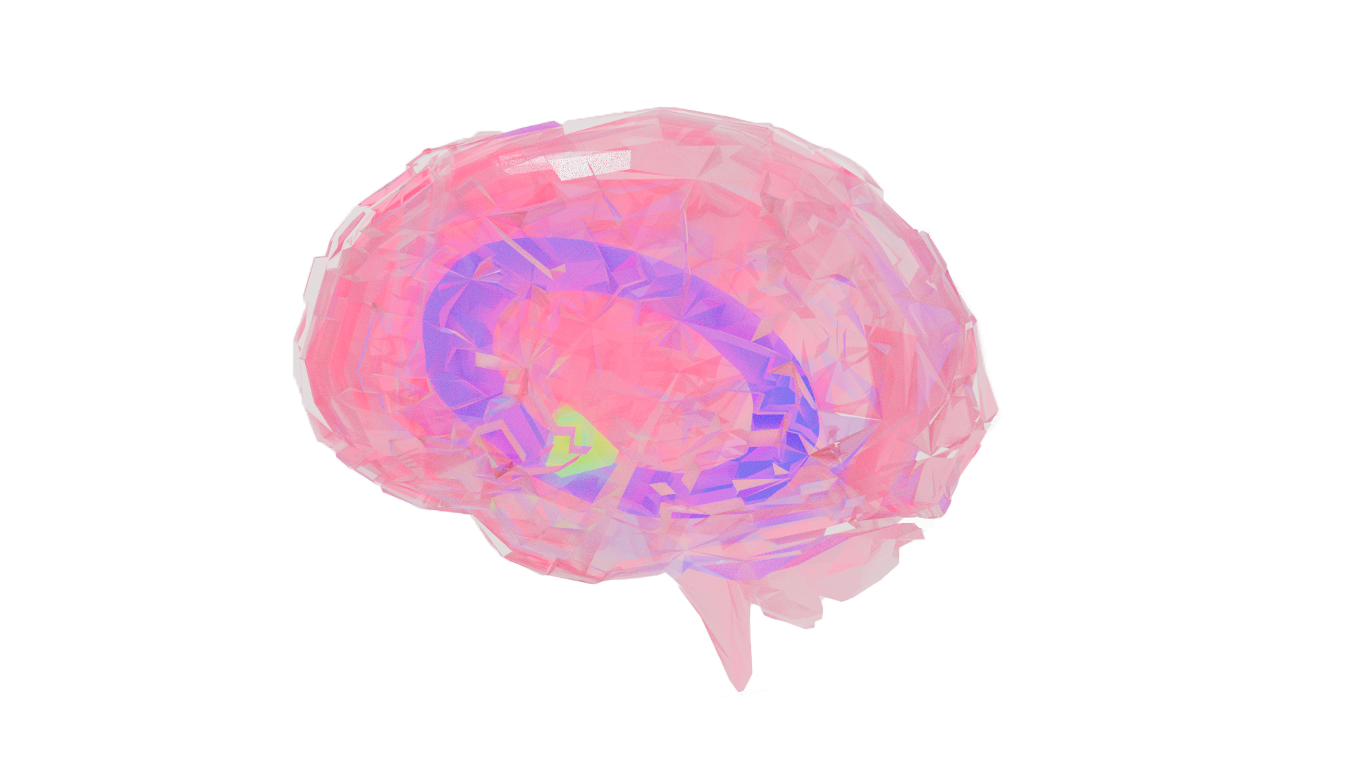 Brain with Hypothalamus and Limbic System